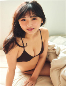 极地熊踪